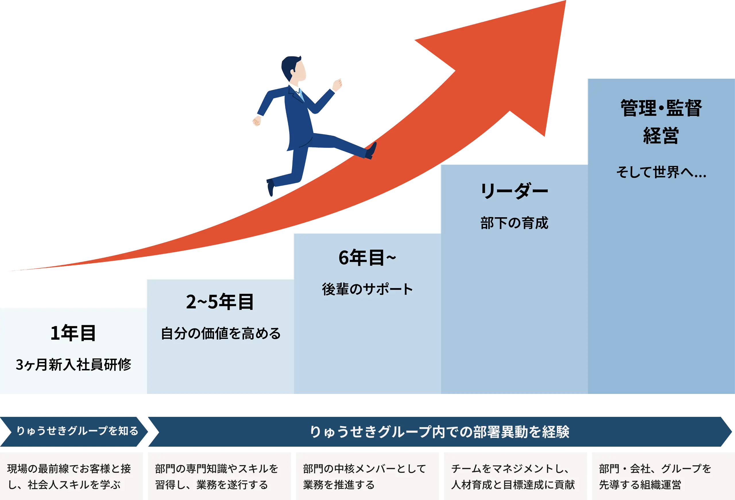 りゅうせき総合職の1年目から経営層までのキャリアパス
